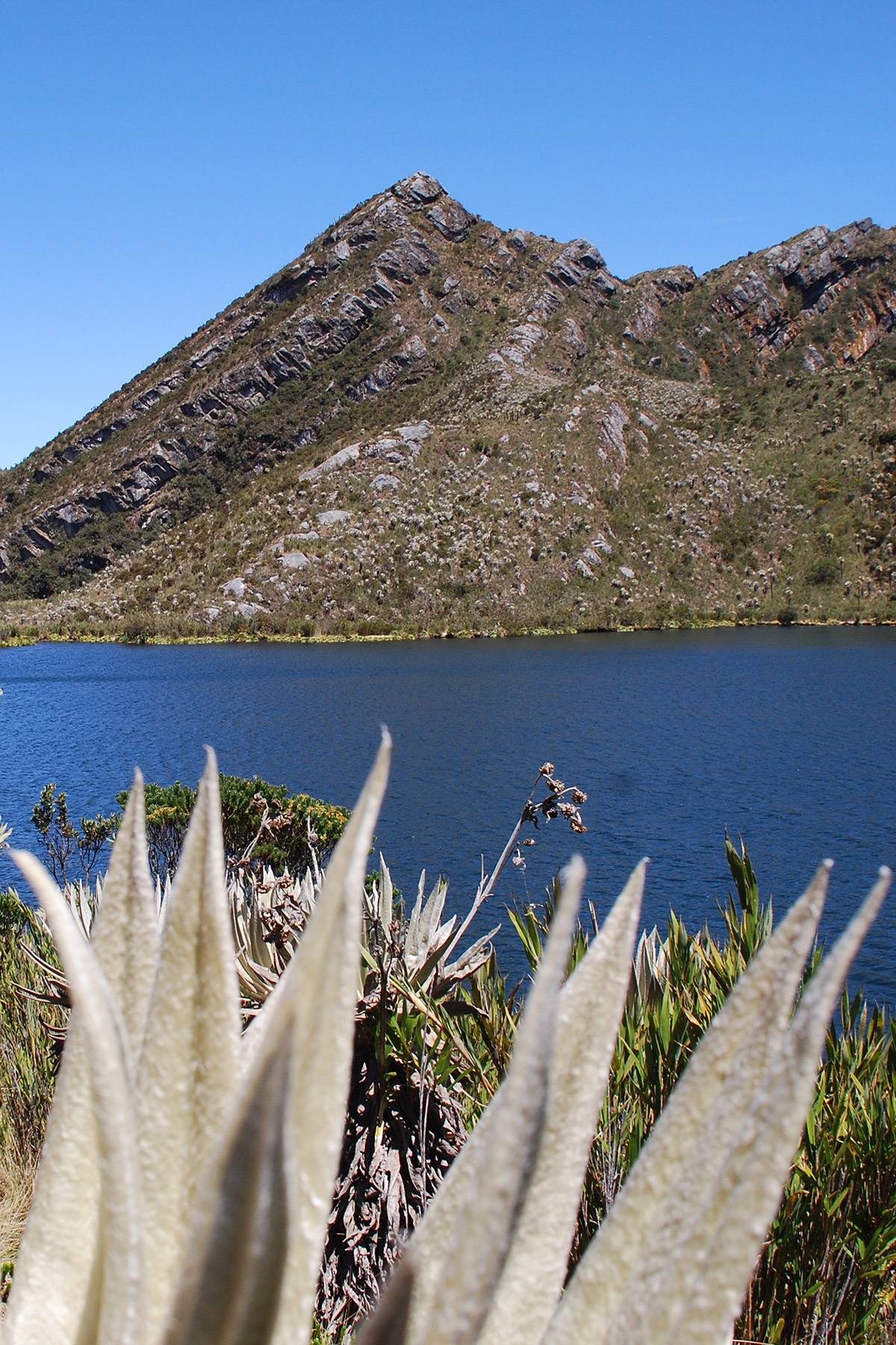 Sistema de acueducto de Bogotá — embalse de agua